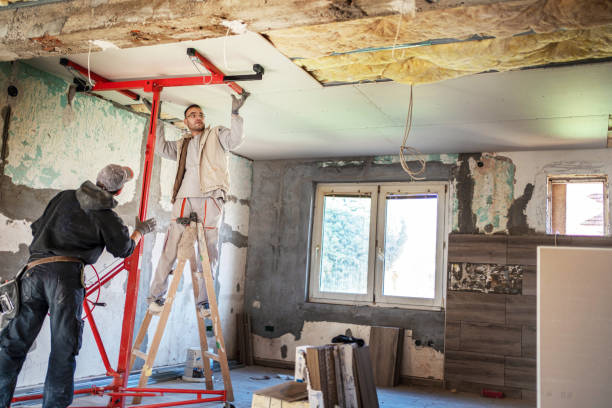 Best Cellulose Insulation in Monette, AR