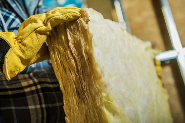Best Eco-Friendly Insulation in Monette, AR